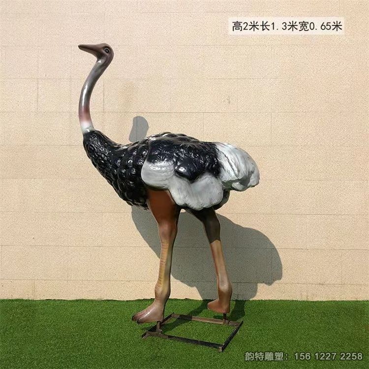 鴕鳥3 鴕鳥3